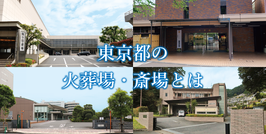 2024年度版：東京都の樹木葬は安い？都立霊園の樹木葬（多磨霊園 ）ってどんなもの？　都内の樹木葬を知ろう！